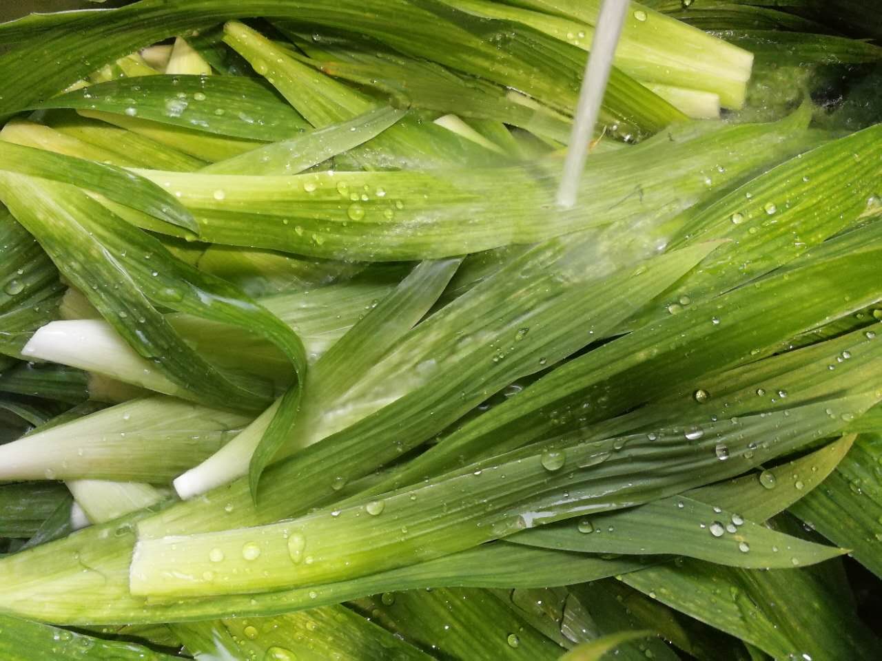 过滤水清洗豆豉叶